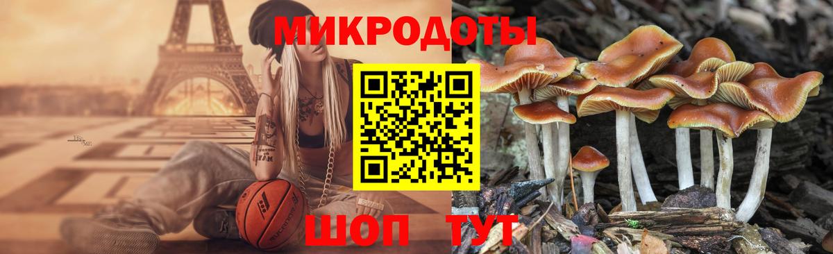 Псилоцибиновые грибы мицелий  купить  сайты  Зерноград  Вход с VPN 